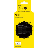 IC-CPGI-5BK Картридж T2 для Canon PIXMA iP4200/4300/iX4000/5000/MP500/600, черный, с чипом